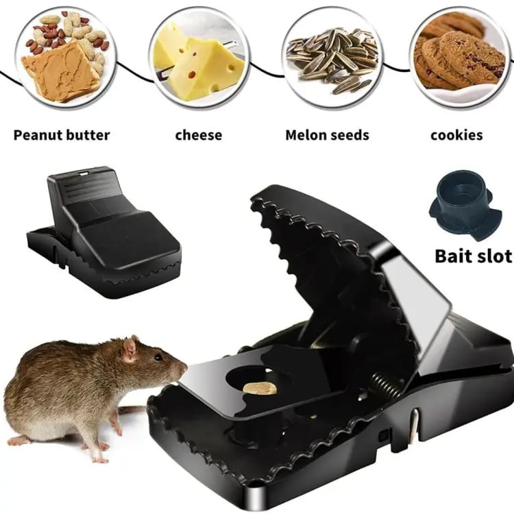 Premium Mouse Trap ππ₯ | Catch More, Spend Less