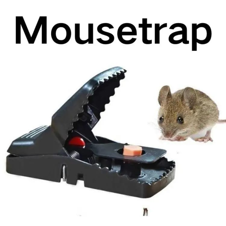 Premium Mouse Trap 🐭💥 | Catch More, Spend Less