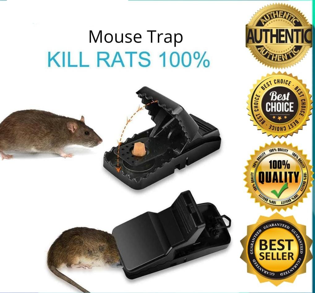 Premium Mouse Trap 🐭💥 | Catch More, Spend Less