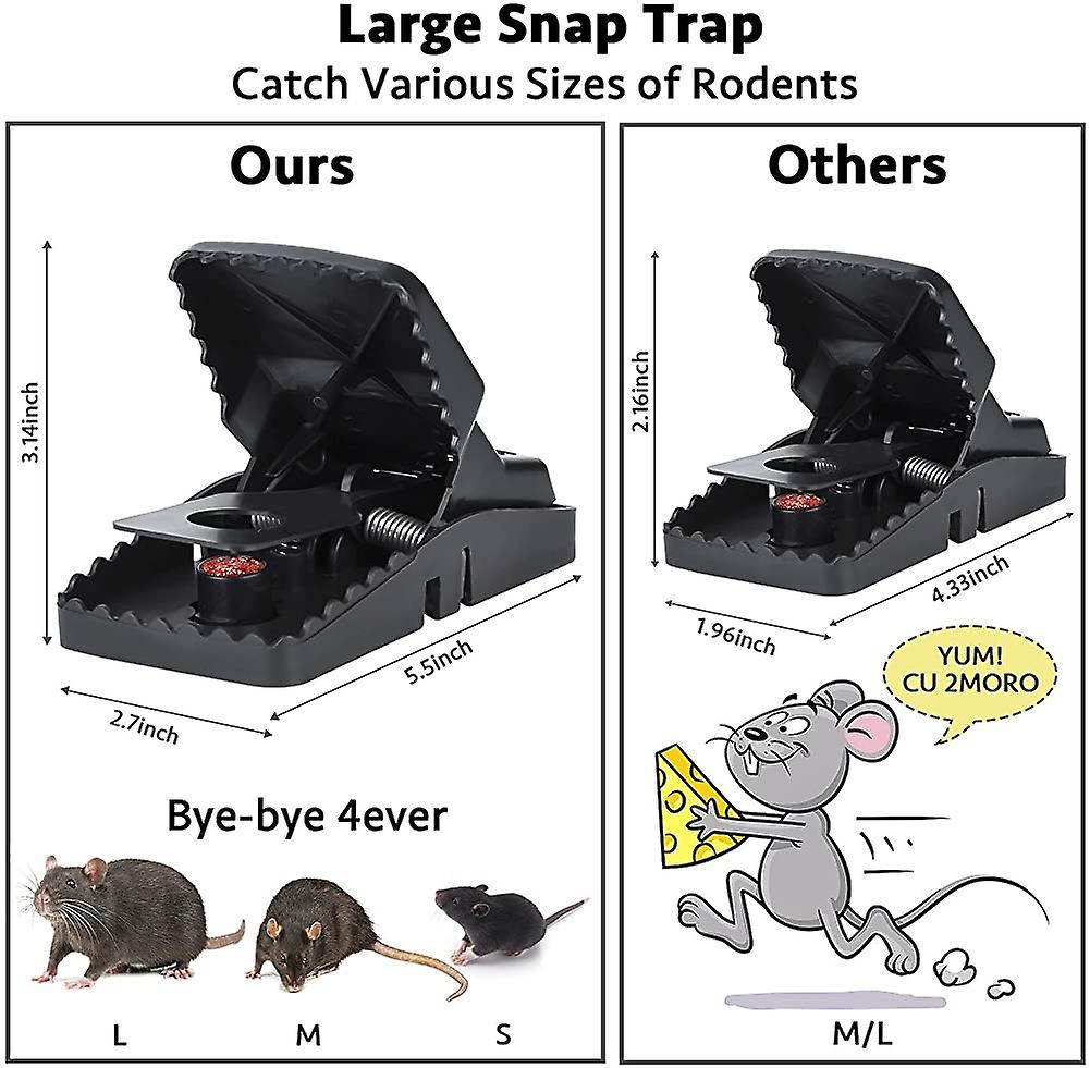 Premium Mouse Trap 🐭💥 | Catch More, Spend Less